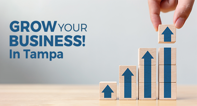 To Grow Your Business in Tampa: The Power of Skill, Accounting, and Communication